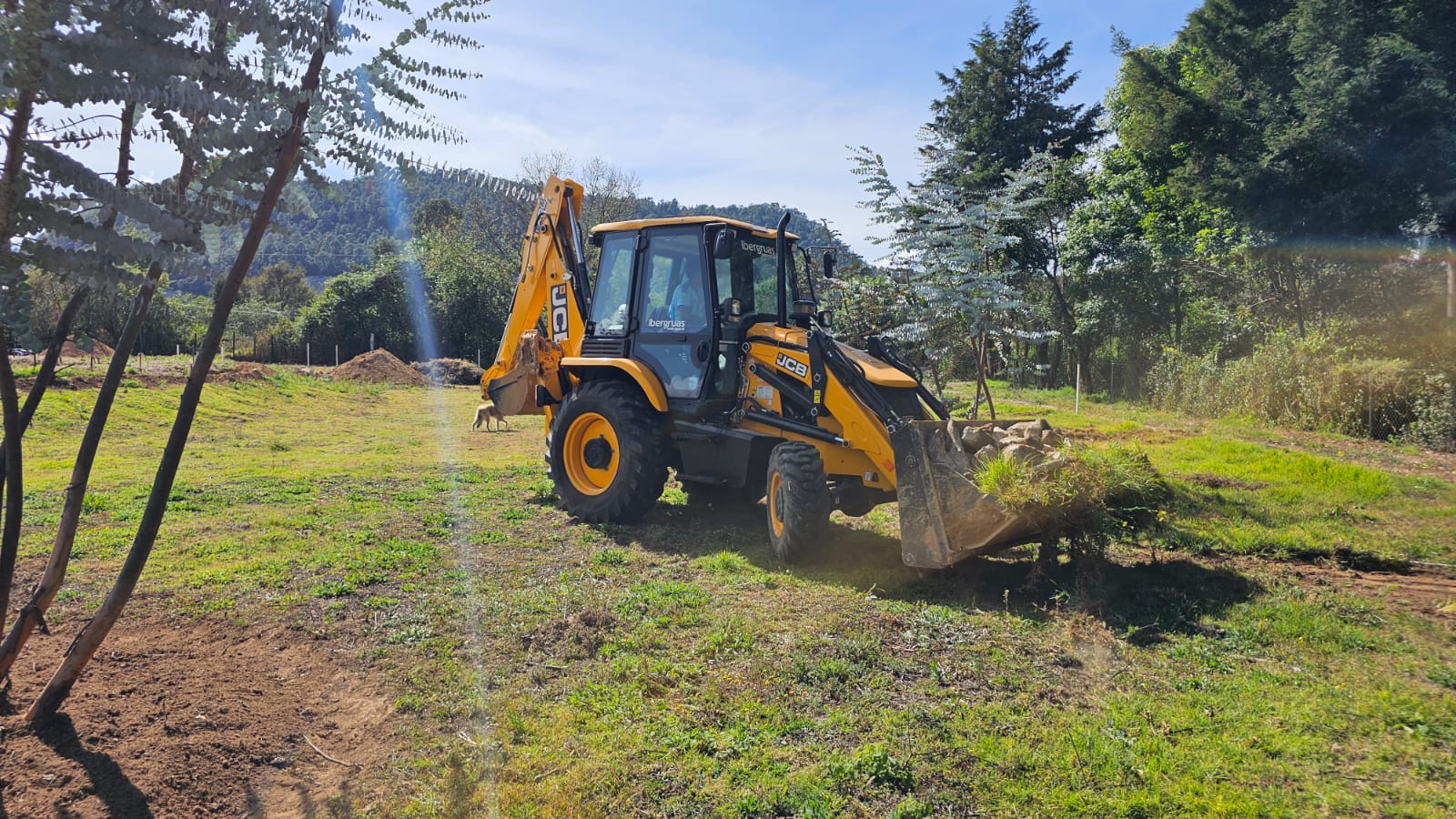 JCB en trabajo de movimiento de tierras