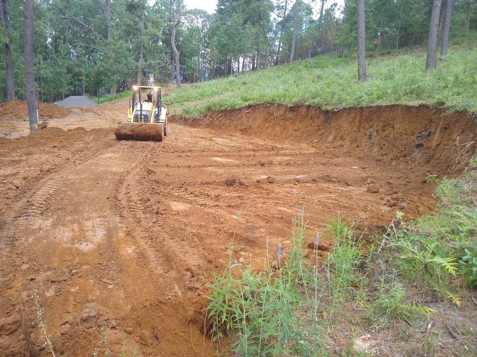 Corte de terreno forestal